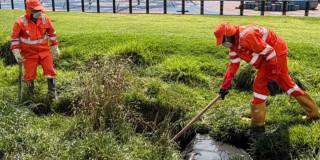 Trabajadores de Aguas Bogotá limpiando zonas verdes