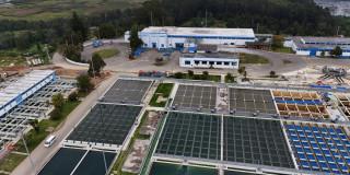 Foto que muestra la planta Tibitoc