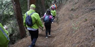 Foto que muestra personas caminando por un sendero ecológico 