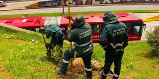 Equipo del Jardín Botánico realiza actividad de siembra el avenida El Dorado