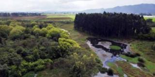 Foto de la Reserva Thomas van der Hammen en el norccidente de Bogotá.