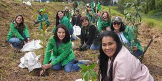 equipo de la Secretaría de Ambiente en jornada de restauración del Humedal de Techo