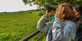 Mujer en jornada de avistamiento de aves