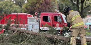 Uniformado del Cuerpo de Bomberos atendiendo un caso de árbol caído en Bogotá.