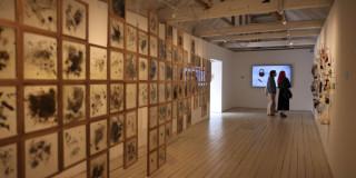 Imagen de exposiciones en la FUGA en Bogotá.