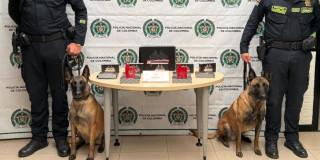 Dos policías y dos perros, con 3 kg de cocaína que pretendía salir del país hacia Australia.