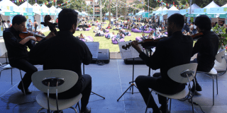 Imagen de un Grupo en tarima, de fondo se ve el público disfrutando de su presentación.