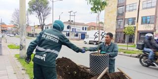 Funcionarios del Jardín Botánico de Bogotá realizan jornada de siembra