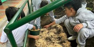 Estudiantes realizan actividad de polinización en La Candelaria