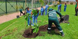 actividad de siembra de árboles con el Jardín Botánico de Bogotá