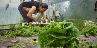 Foto de una campesina en zona rural de Bogotá.