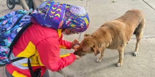Funcionaria de la Alcaldía Local atendiendo un perro