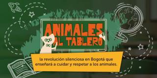 Publicidad Animales al Tablero del IDPYBA