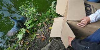 ave liberada por la Secretaría de Ambiente