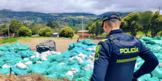 Foto de funcionarios del Distrito en operativo de limpieza