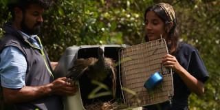 Foto de liberación de animales en Cundinamarca.