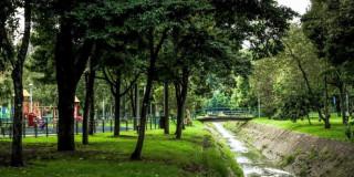 Bosque Urbano de Bogotá