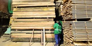 Fábrica de madera en Kennedy sin permisos ambientales