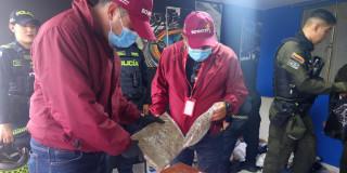 Policía y funcionarios en operativo de incautación de drogas