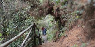 Foto que muestra un sendero ecológico 