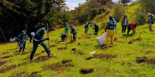renaturalización vereda Curibital con el Jardín Botánico de Bogotá