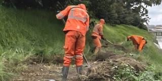 Foto que muestra personas limpiando un humedal 