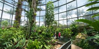 Tropicario del Jardín Botánico de Bogotá