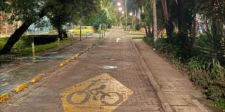 Foto que muestra un sendero peatonal y arboles 