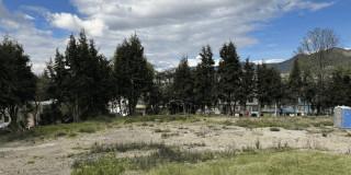 Foto panorámica de un lote con arboles