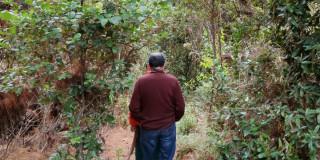 Foto que muestra unas personas caminando en senderos ecológicos