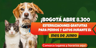 Perro y gato junto a aviso: “¡Bogotá abre 8.300 esterilizaciones gratuitas para perros y gatos durante el mes de junio! Conozca lugares y horarios aquí”