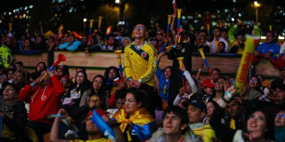Foto de hinchas de las Selección Colombia en uno de los parques en Bogotá.