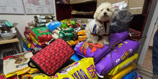 Foto de donaciones recolectadas para animales afectados en Venezuela.