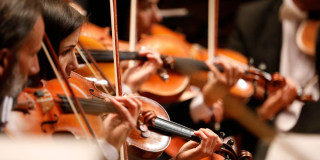 Imagen de Violines de la Filarmónica de Bogotá