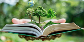 Imagen de libro abierto con arboles saliendo de el 