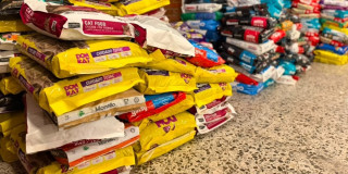 Apilamiento de alimentos concentrados para perros y gatos recolectados como ayuda humanitaria animal para Venezuela