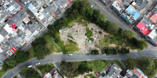 Foto que muestra árboles y una vía con carros andando 