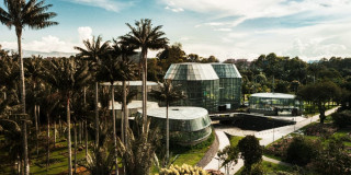 Vista aérea del Tropicario Jardín Botánico de Bogotá con invernaderos rodeados de palmeras tropicales