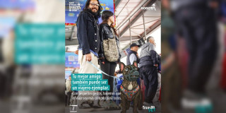 Pieza gráfica de TransMilenio sobre viaje de mascotas en el Sistema. 