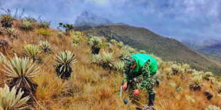 Ejército sembrando árboles