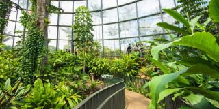 Tropicario del Jardín Botánico de Bogotá