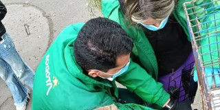 Imagen de referencia con personal de Protección Animal rescata animal dentro de jaula durante operativo urbano