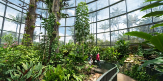 Tropicario del Jardín Botánico con sendero curvo, vegetación tropical y visitantes recorriendo invernadero