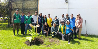 Grupo participa en plantación de magnolios nativos en espacio público de Bogotá