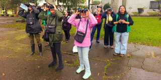 Participantes observan aves con binoculares durante actividad comunitaria en parque de Bogotá