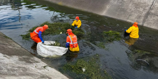 Foto que muestra tres personas limpiando un canal de agua 