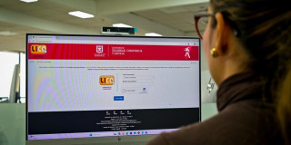 Mujer mirando a un computador, en cuya pantalla se ve la plataforma LICO.