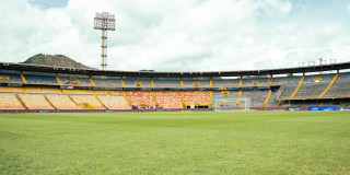 Gramilla del estadio Nemesio Camacho