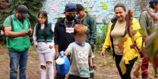 Imagen de un niño regando plantas en una huerta