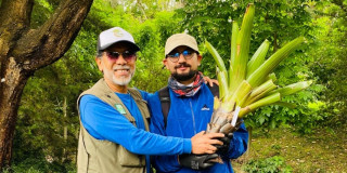 Dos personas sostienen bromelia durante jornada de siembra de bromelias del Jardín Botánico en bosque urbano Brazo Salitre